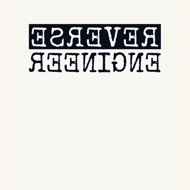 Reverse Engineer Softwareingenieur Developer