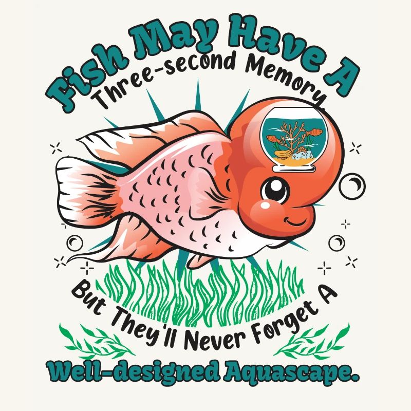 Fish may have a three-second memory