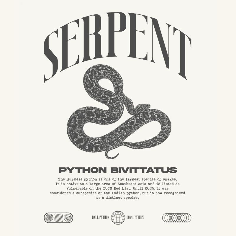 Burmese Python Modern Reptile Keeper Streetwear