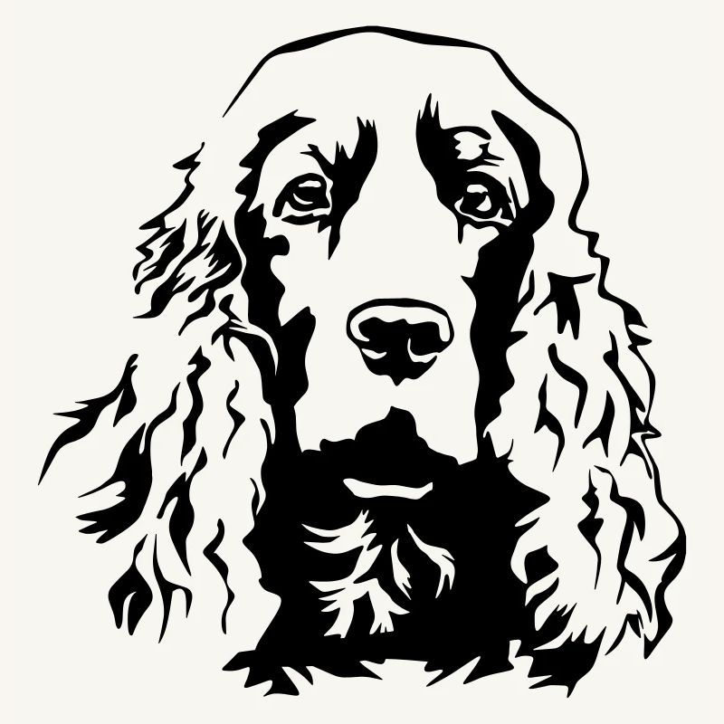 Tête de Cocker Spaniel