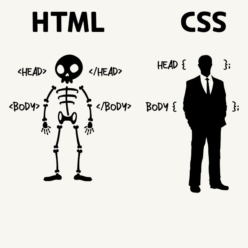 Développeur Programmeur Coden Code de script CSS