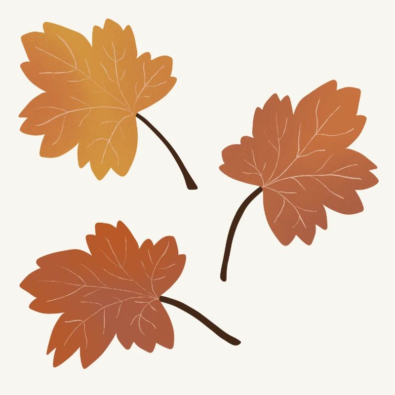 Autumn Maple Leaf Pattern for Cozy Apparel