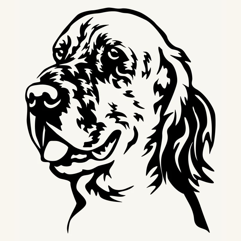 Englischer Setter Kopf