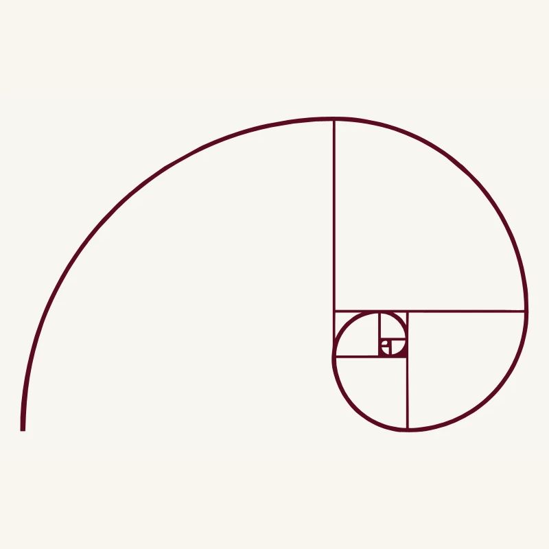 Spirale de Fibonacci, section doré, Phi, evolution