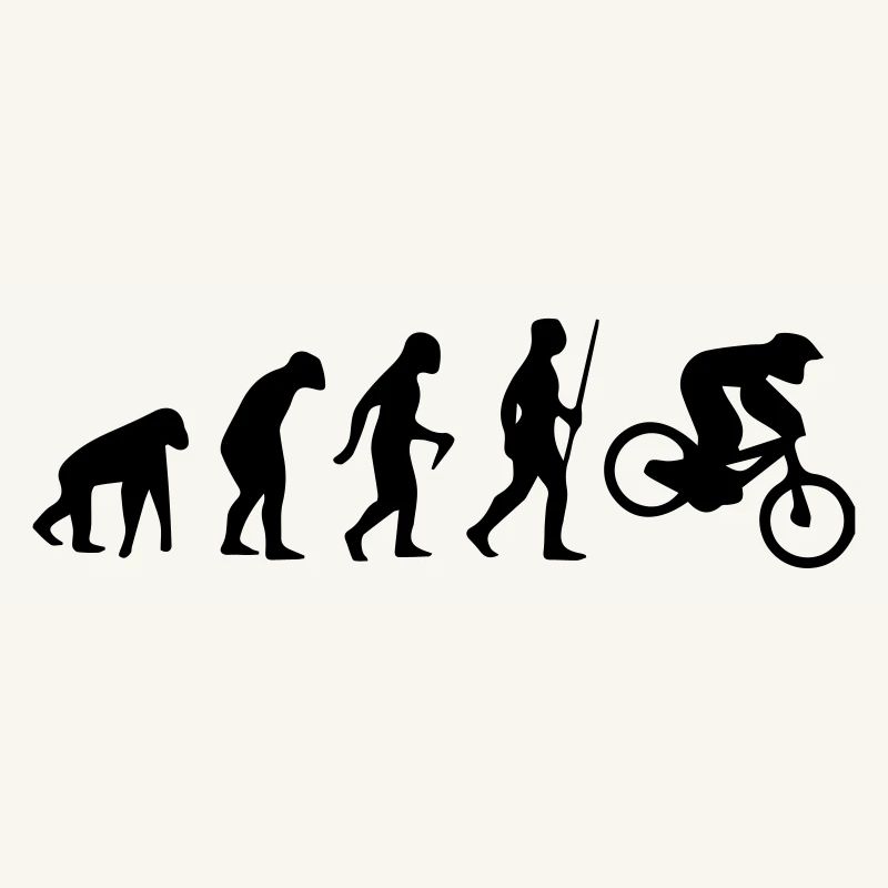 MOTORCROSS EVOLUTION