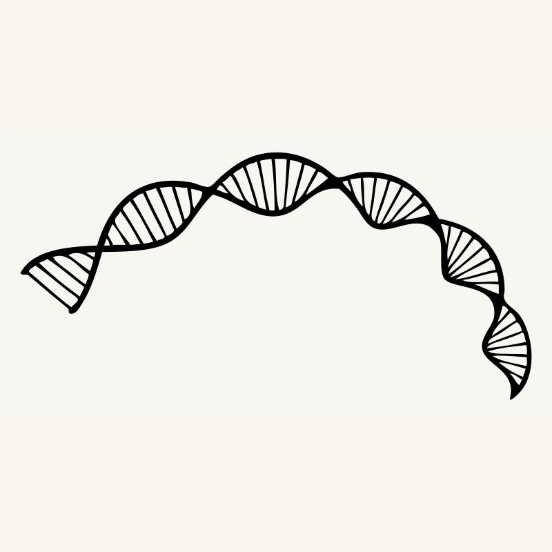 DNA double helix structure cell sequence