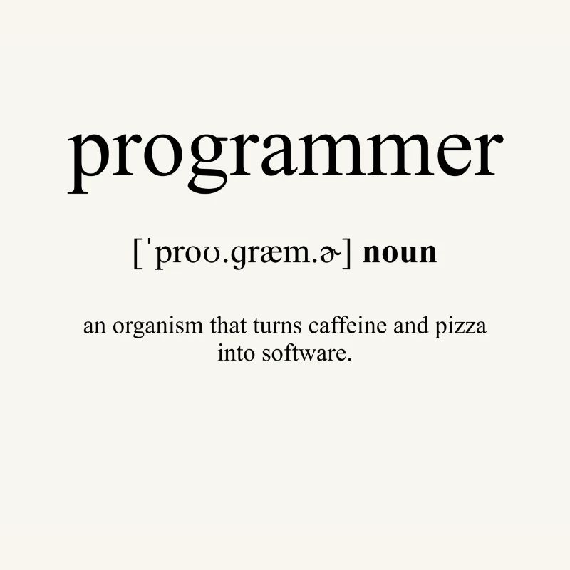 Programmer (Programmierer) Definition Dictionary