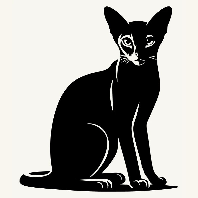 Abessiner Katze