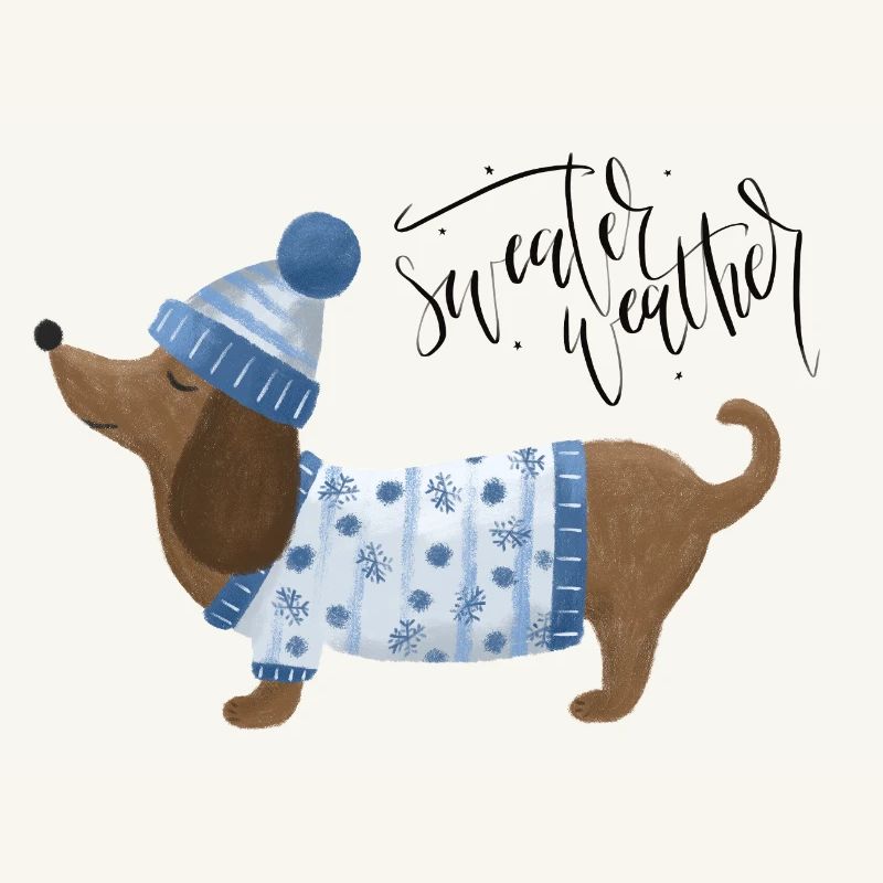 Teckel avec pull et chapeau Pull Météo bleu