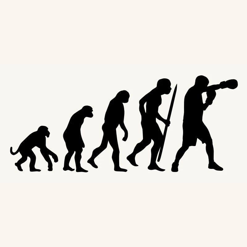 Evolution de la boxe
