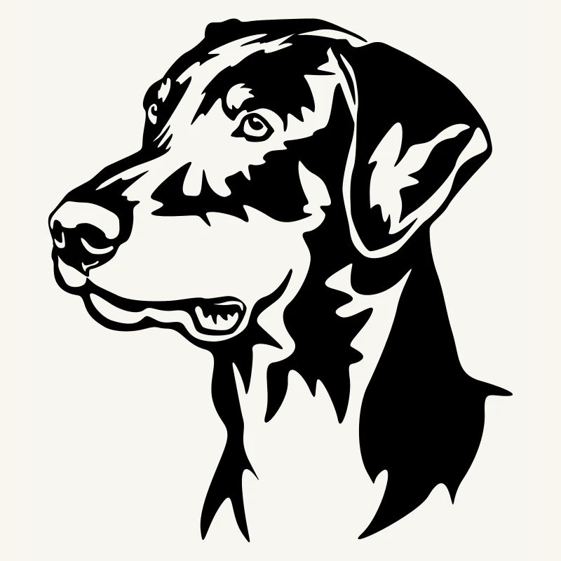 Dobermann Kopf