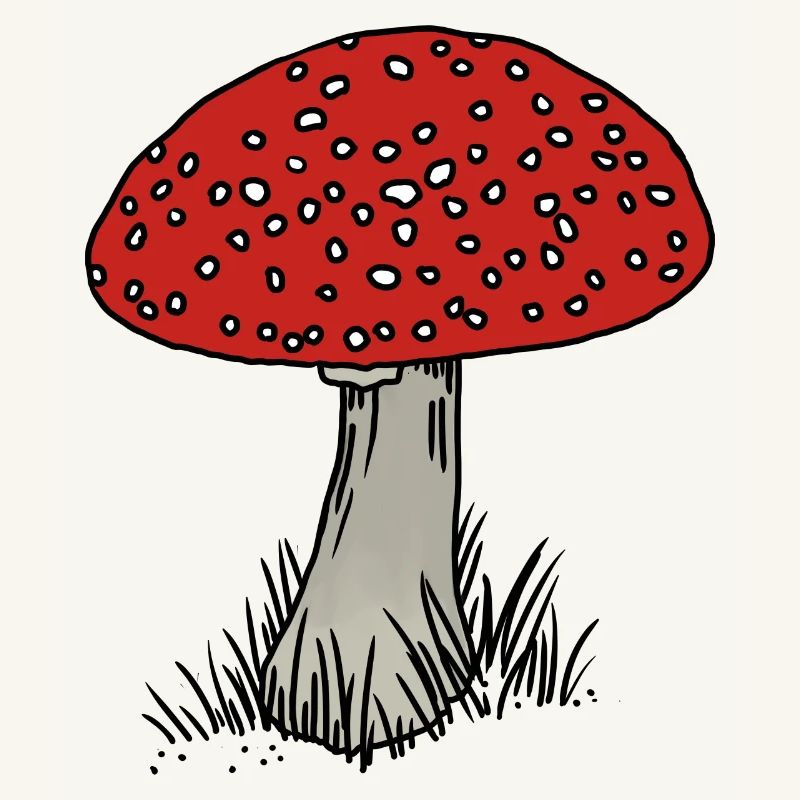 Toadstool colored