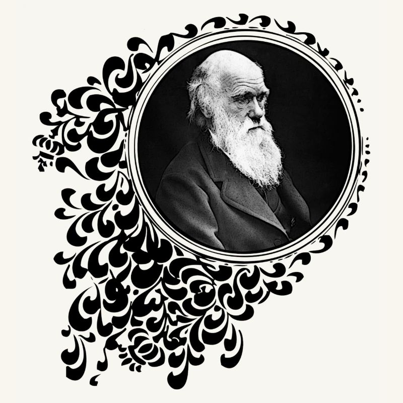 Charles Darwin Decorative