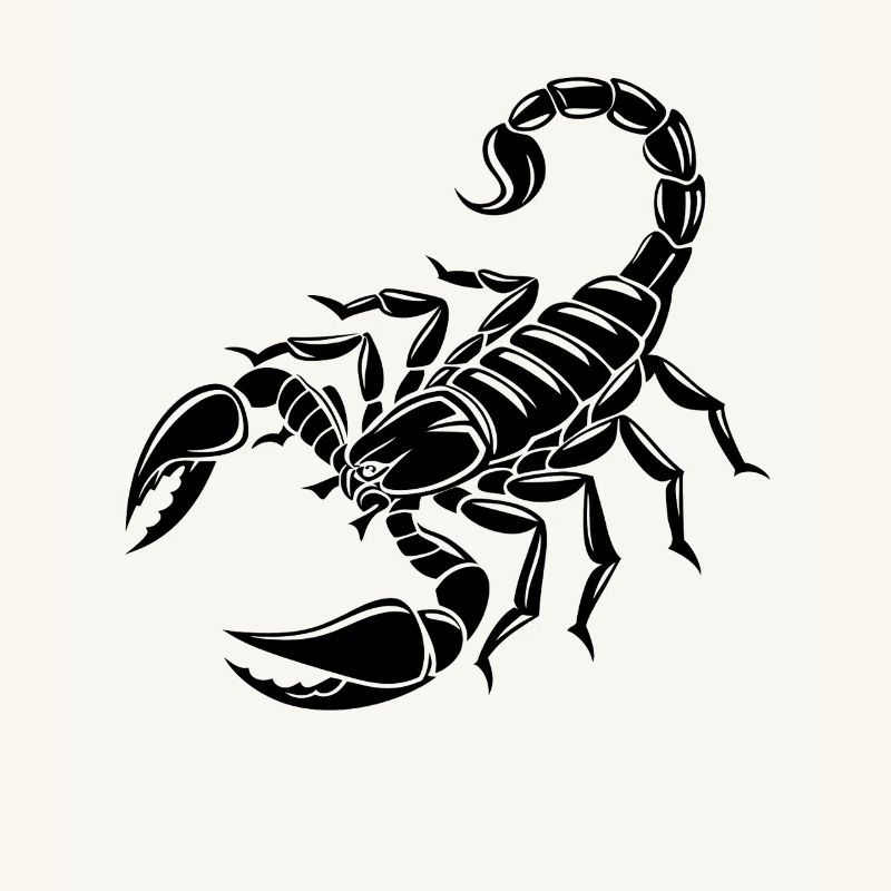 Skorpion - Giftstachel - Artenschutz - Lebensraum