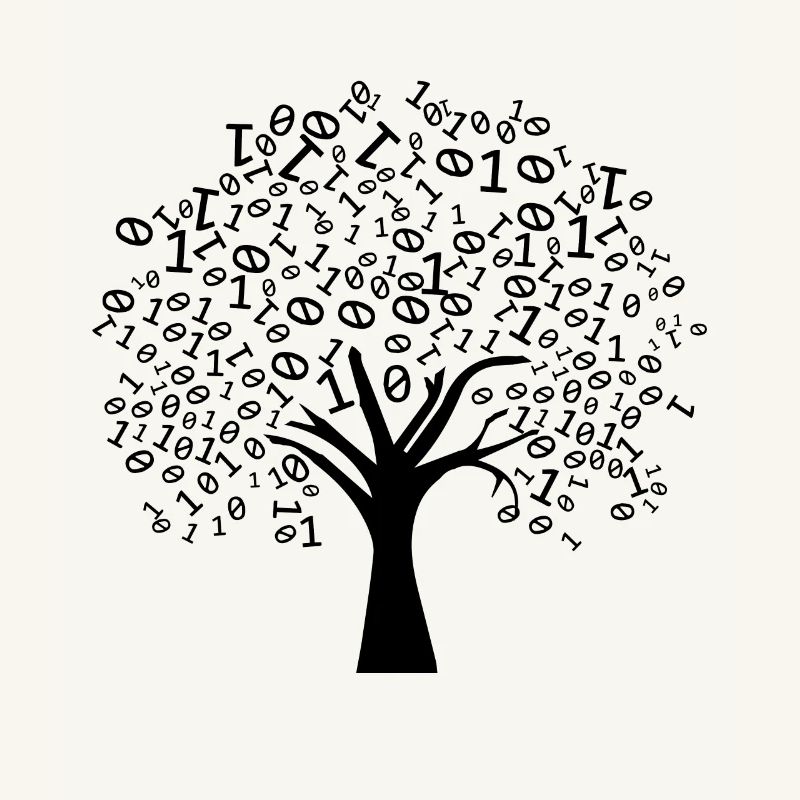 Programmer Binary Tree