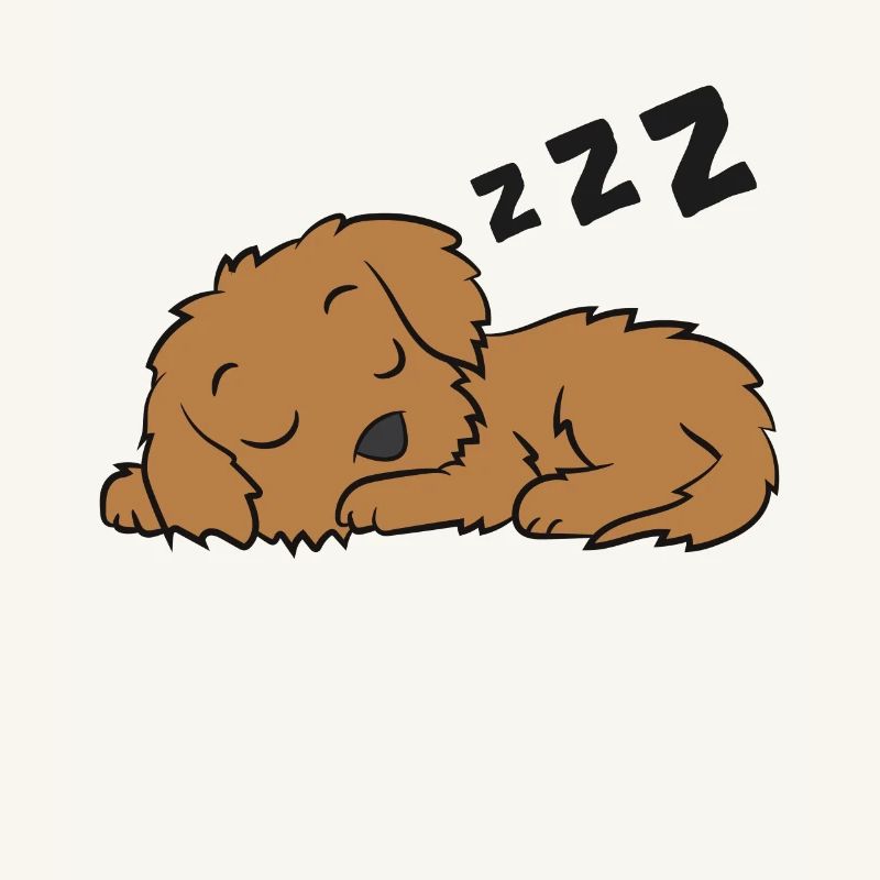 Cockapoo Hund Pyjama Lustig Schlafender Cockapoo