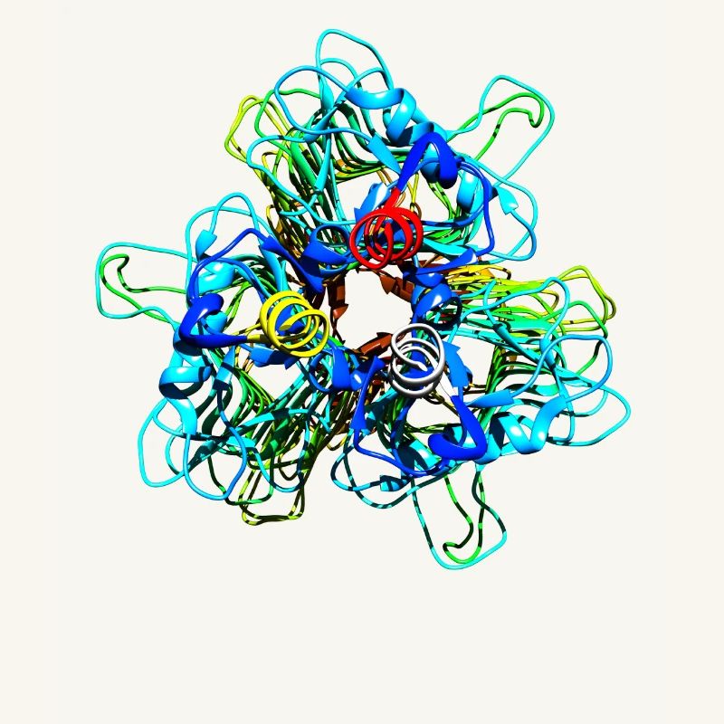 Native Tailspike Protein Molecule Bacteriophage
