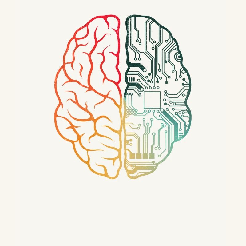 Programmeur Coding - Developer Programming Brain