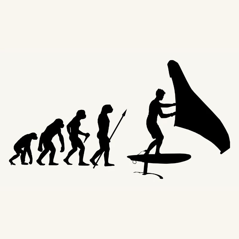 Hydrofoil Wingfoil Evolution Foil Wing Wingfoiling