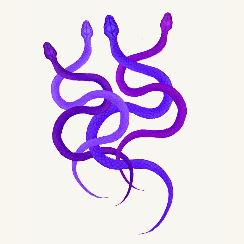 Einfaches Schlangendesign, 4 wilde Pythons