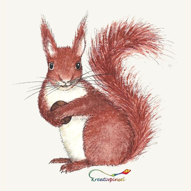 Squirrel