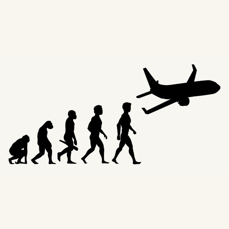 avion volant cockpit aviator pilote d'évolution