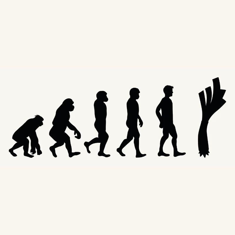 Leek evolution