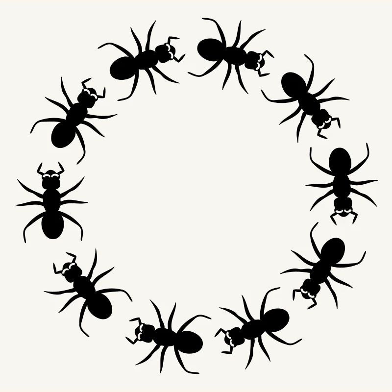 Ant insect district