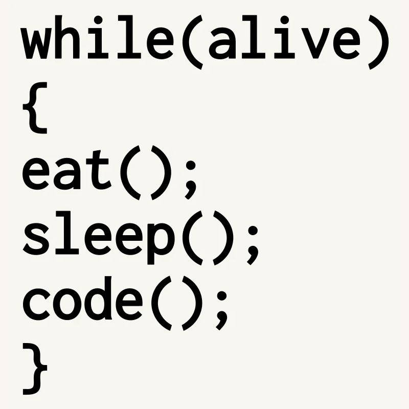 Entwickler / Informatiker / Programmierer /