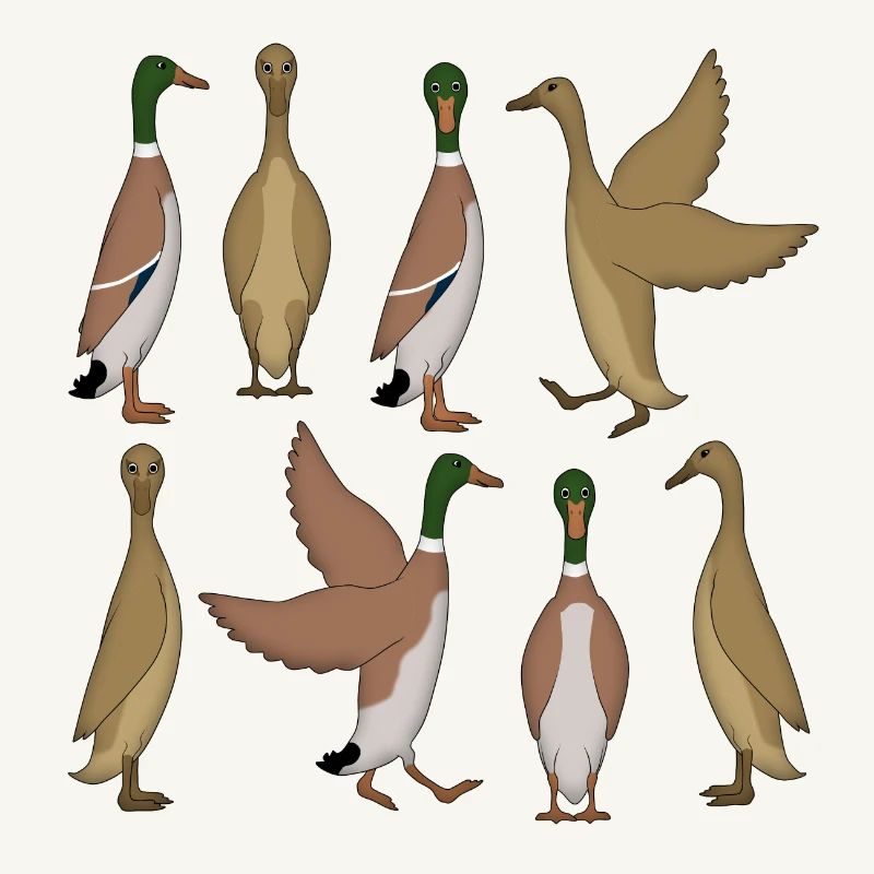 Sélection de canard en cours d’exécution