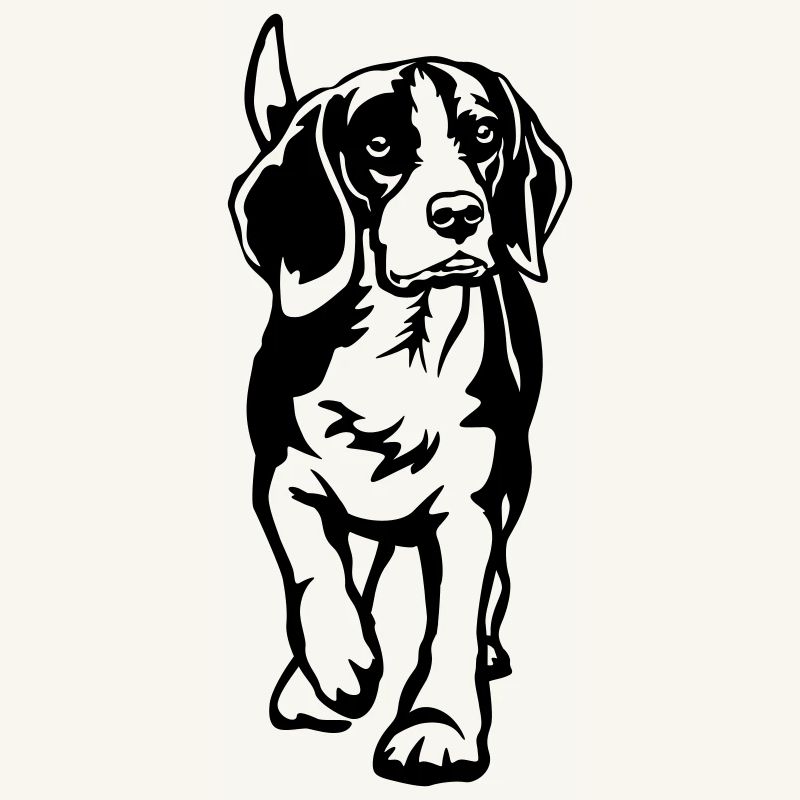 Beagle