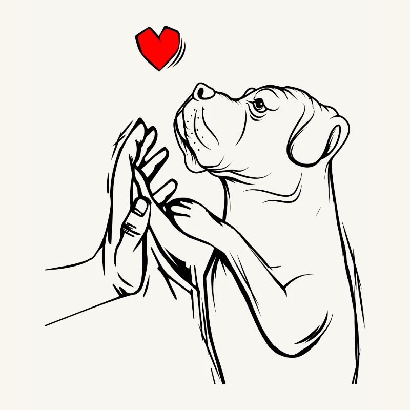 Cane Corso