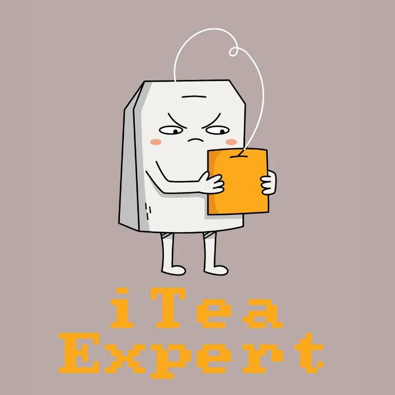 itea Expert IT Experte Informatiker Computer Nerd