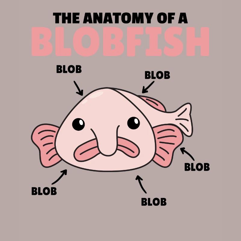 Blobfish Explication Anatomie d’un Blobfish