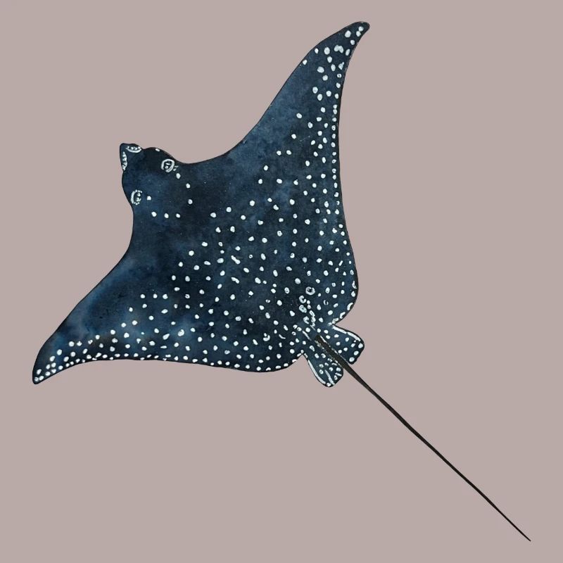Rays Eagle Rays Stingrays Reef Plongée