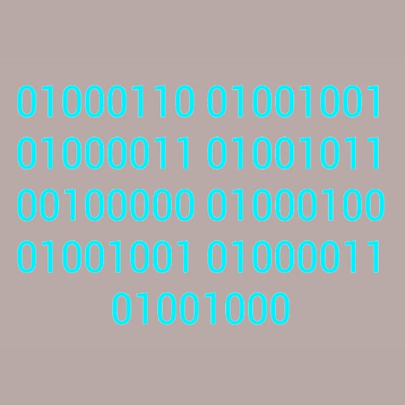 BINARY CODE / BINARY CODE F**K YOU GIFT IDEA