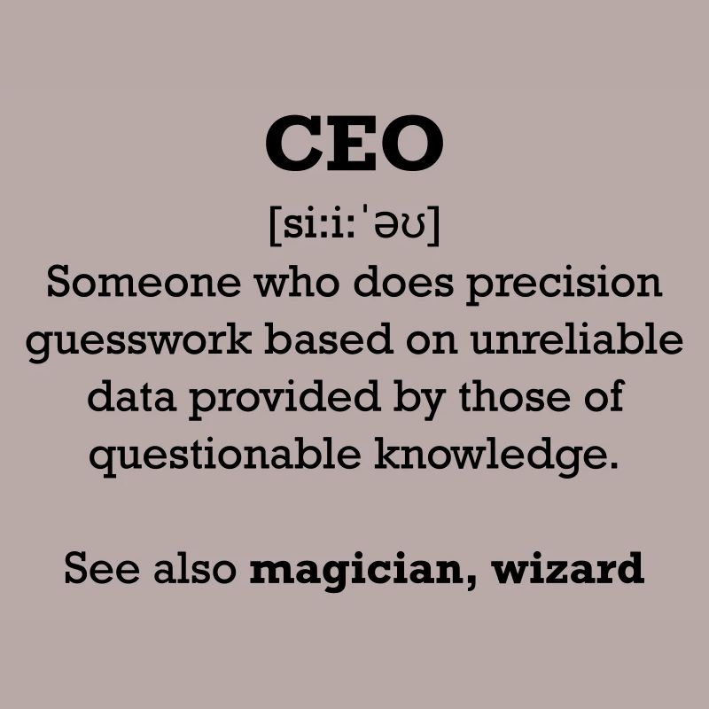 CEO - Assistant