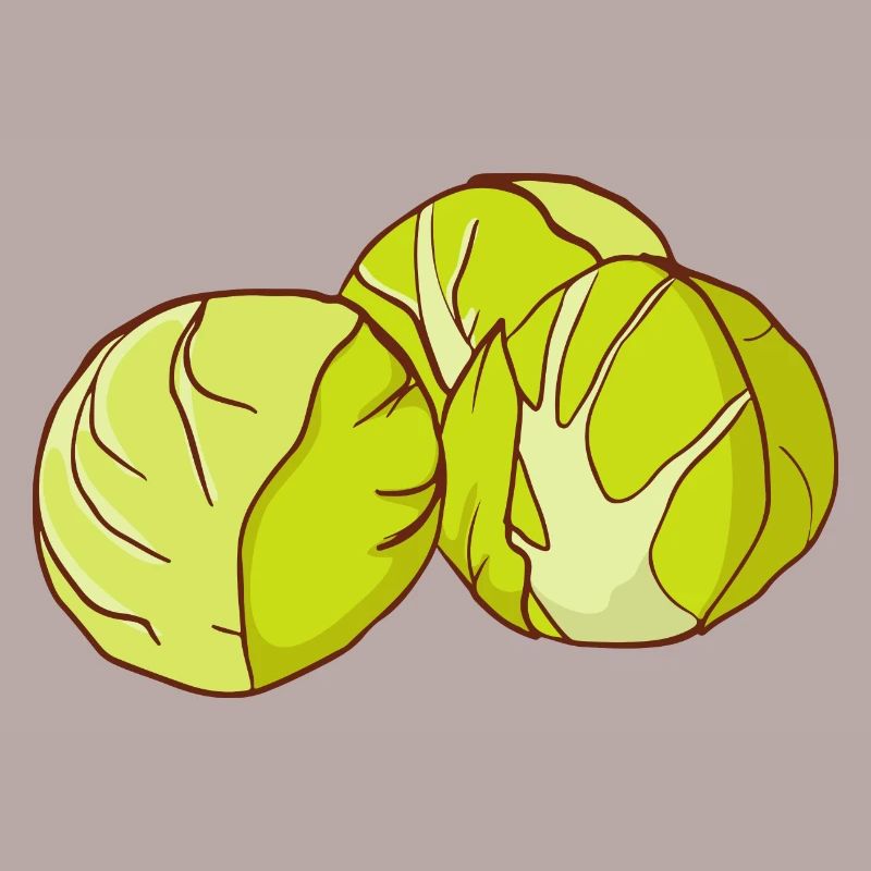 Brussels sprouts Brussels cabbage sprouts cabbage sprouts