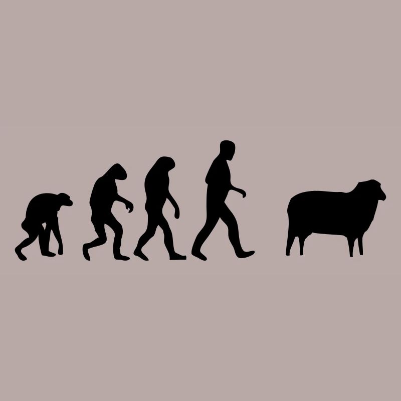 mouton evolution