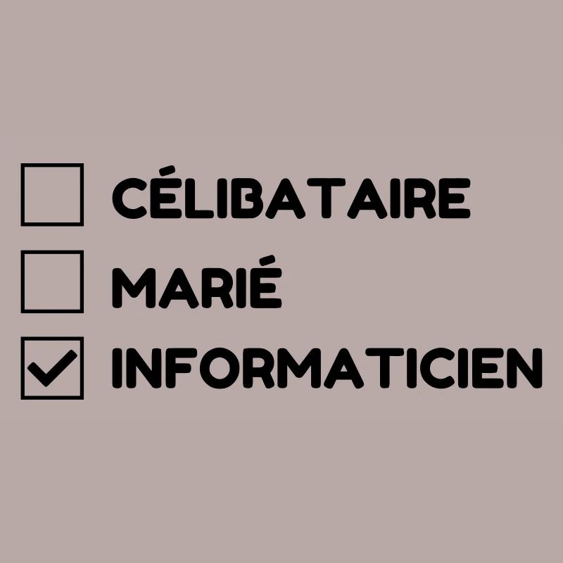 Computer Engineer Informatiker Informaticien