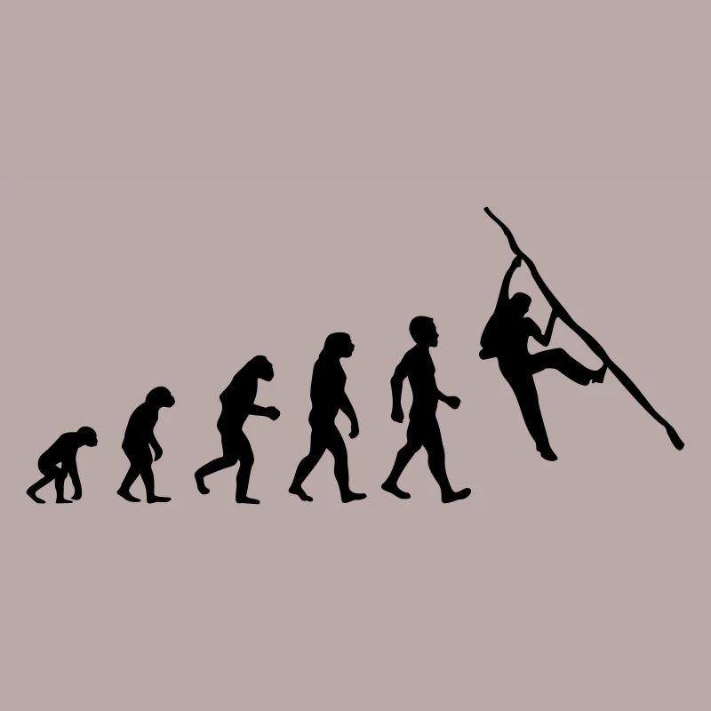 Evolution Climbing Bouldering