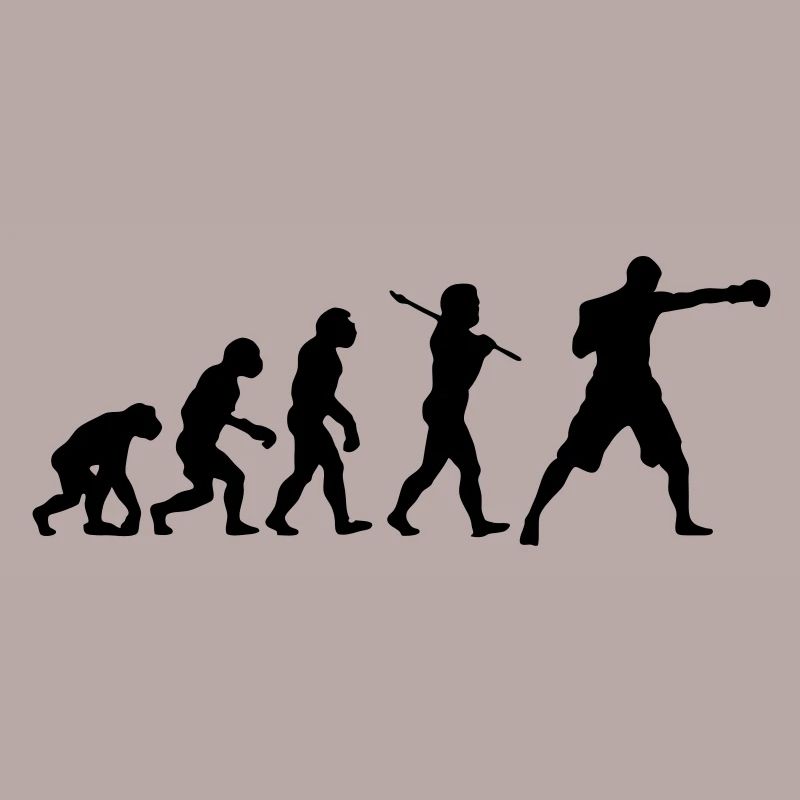 Boxing Evolution