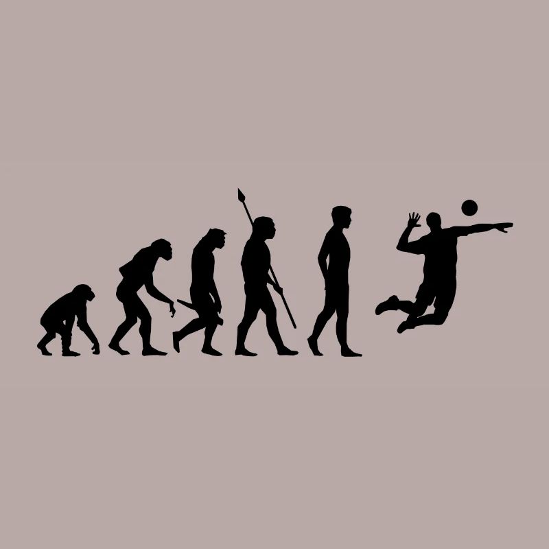Beach Volleyball Evolution