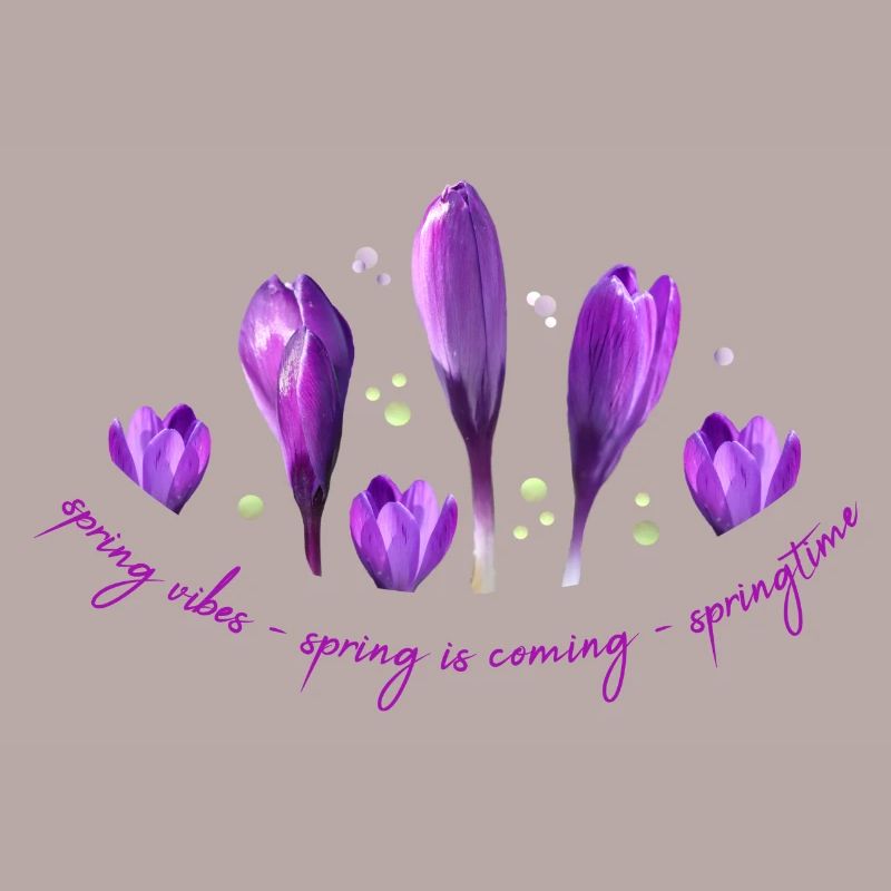 Crocuses Spring