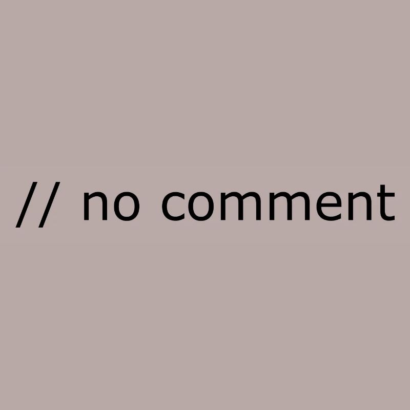 No comment Programming Computer Science Gift