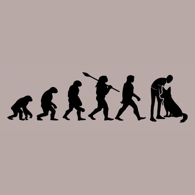 Evolution Lustiger Belgischer Schäferhund Malinois