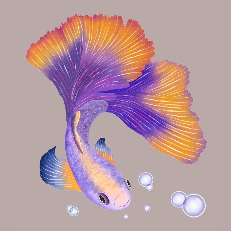 Fisch. Elegant unter Wasser