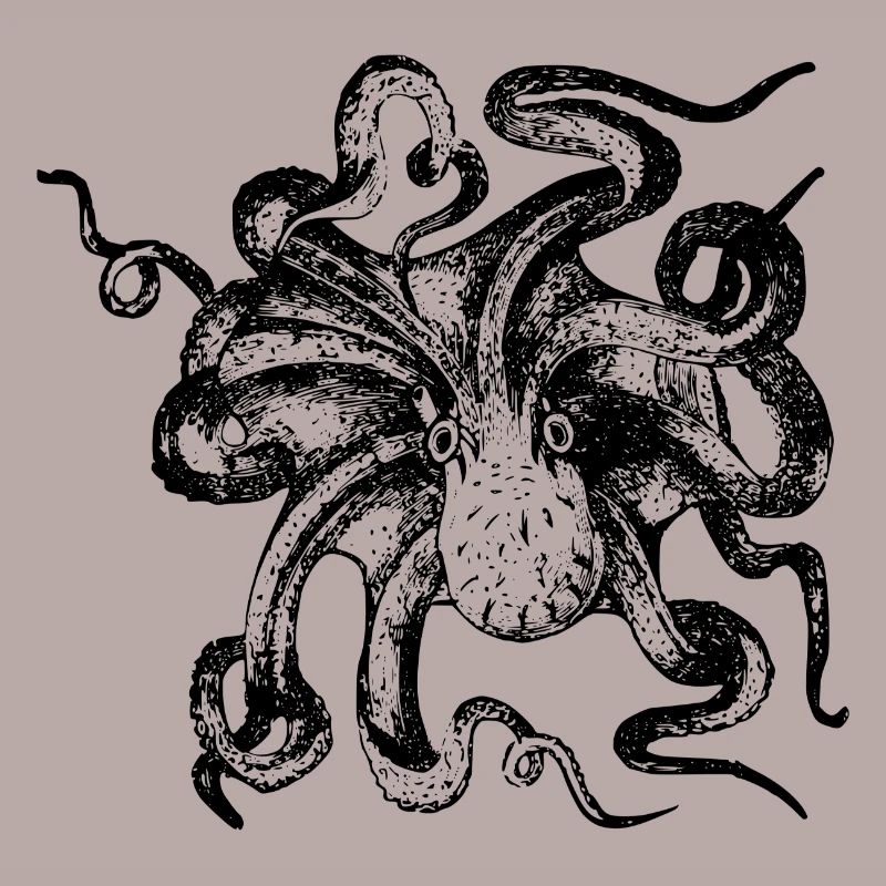 squid giant octopus octopus octopus squid sepia fish