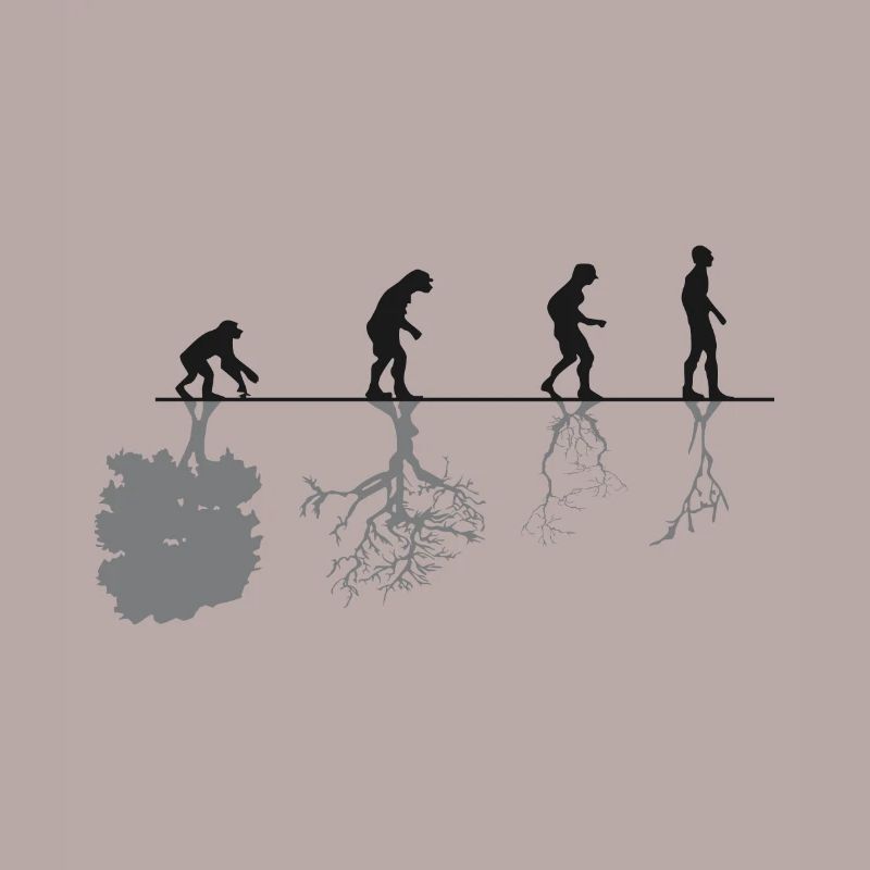 Evolution Black