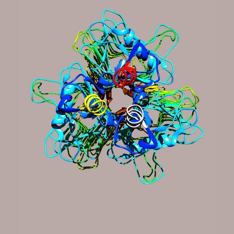 Native Tailspike Protein Molecule Bacteriophage